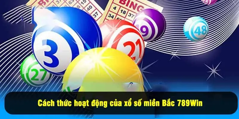 Cách thức hoạt động của xổ số miền Bắc 789Win