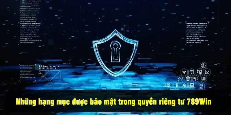Những hạng mục được bảo mật trong quyền riêng tư 789Win