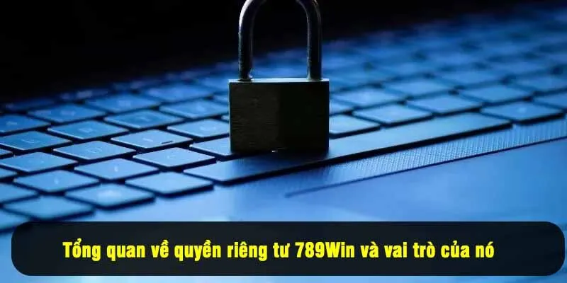 Tổng quan về quyền riêng tư 789Win và vai trò của nó
